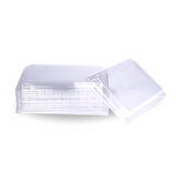 BentoStyle Rectangle Clear Lids